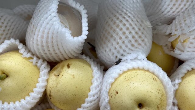 Fresh Asian Pears In White Protective Foam Net Display