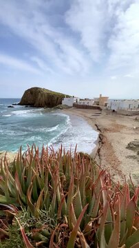 volcanic coastline with aloe vera and rocky islet, Cabo de Gata, Spain- vertical video