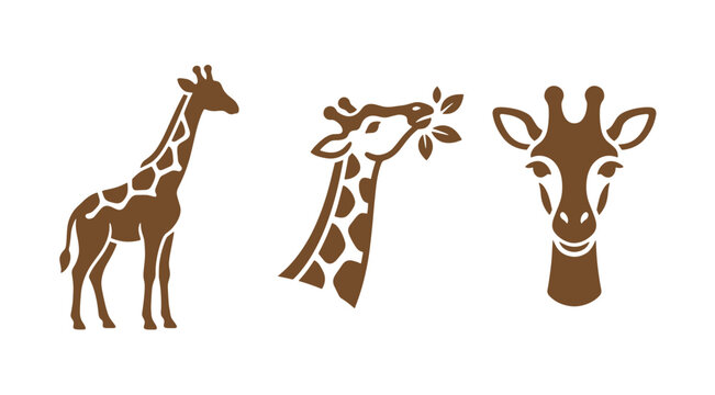 Brown giraffe graphic silhouettes showing full body eating leaves and head portrait with wildlife silhouette illustration collection isolated background standing portrait