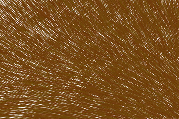 Fototapeta premium Abstract brown fur texture background with fine white hair lines isolated on transparent background for creative graphic design and digital art projects.