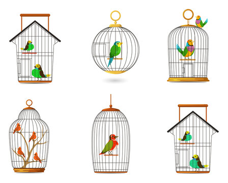Vibrant birdcages with colorful birds on transparent background PNG
