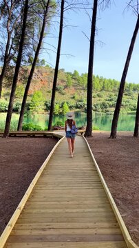 young woman walking wooden boardwalk through pine forest to lake- vertical footage