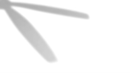 Fototapeta premium Shadow Overlay of Crossing Leaves on Transparent Background