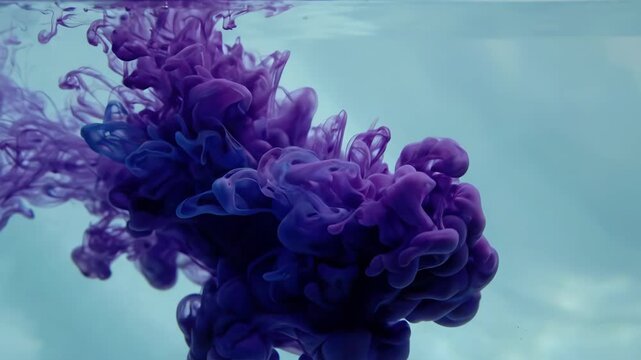 Purple ink cloud swirling in clear water abstract background.