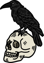 Obraz premium A raven stands on a skull