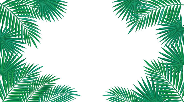 Green palm leaves border frame isolated on a transparent background