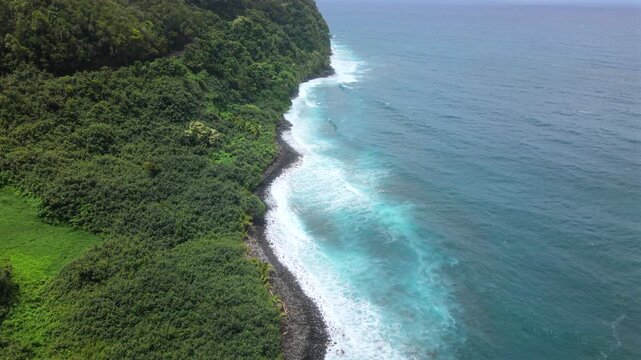 Aerial view of lush green jungle cliffs meeting the turquoise ocean along a black pebble shore on Maui in Hawaii USA. White waves roll onto the volcanic coast under bright tropical daylight.