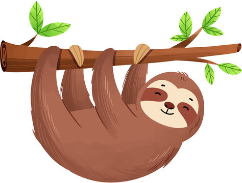 Cute cartoon sloth hanging on a tree branch in the jungle