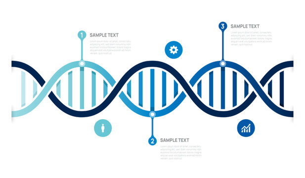 DNA Infographic Chart Template for Science and Business Presentation, 3 Parts with Icon Elements.