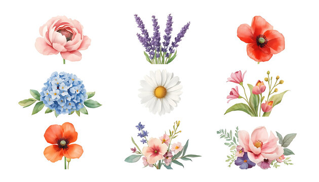 several images of various types of flowers on plants with a transparent background