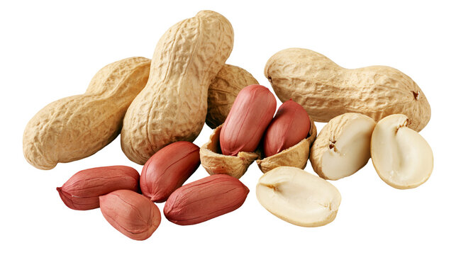 Whole peanuts in shells and shelled peanuts, isolated on transparent background