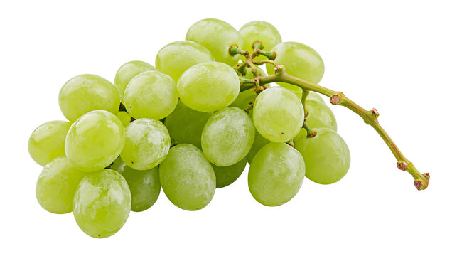 Fresh green grapes cluster with stem, isolated on transparent background