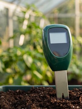 Close up of digital soil moisture meter inserted in dark earth