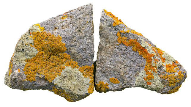 Two rough grey granite rocks with yellow and grey lichen growth, isolated on transparent background