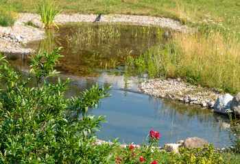 Sunny pond © PRILL Mediendesign