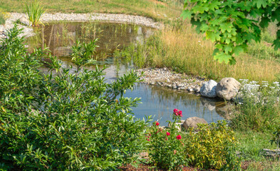 Sunny pond © PRILL Mediendesign