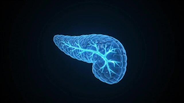3D glowing blue pancreas organ with vascular network medical animation science and healthcare concept