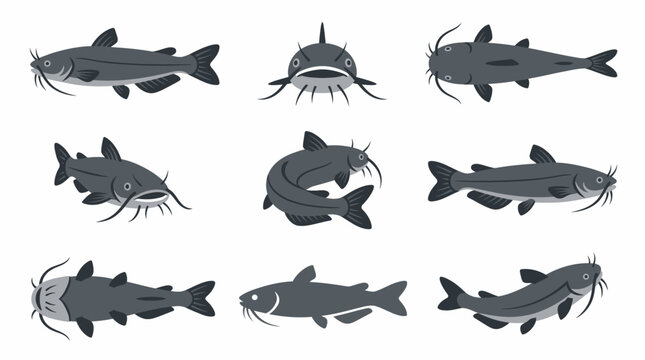 Collection of various catfish illustrations in different poses and perspectives, showcasing their distinct features and aquatic life.