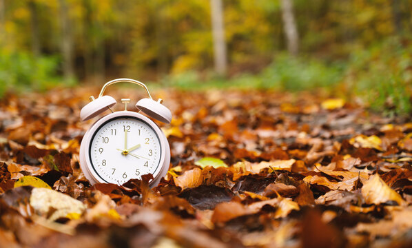 End of daylight saving time in autumn, winter time changeover, alarm clock fall back switch, colorful foliage in forest