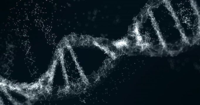 Rotating 3D DNA strand model with digital network particles. Science and Medical Concept.