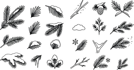 Pine branch collection featuring various evergreen needles fir foliage and winter elements in a hand drawn vector illustration style set © Ajoy