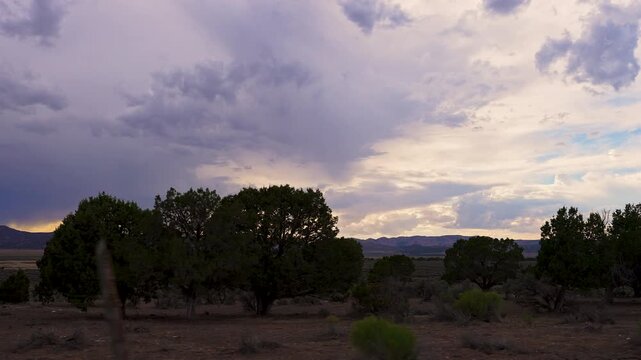 View from moving vehicle looking past the juniper bushes towards the sunset while going down a road in Utah.