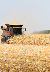 Combine harvester working in a corn field