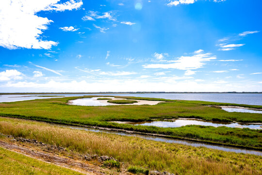 The Rantum nature reserve features green grass and water on Sylt