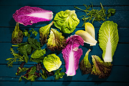 Leaves of various sorts of salads