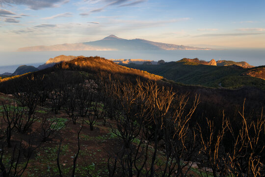 Spain, La Gomera, View of Alto de Garajonay mountain, Tenerife in background