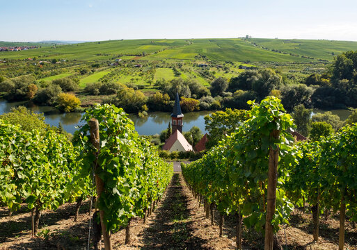 Germany, Lower Franconia, Vineyard near Kohler with view of chapel and Kreuzberg hill in background