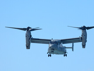 Fototapeta premium Military Tiltrotor Aircraft Flying in Clear Blue Sky at Gold Coast