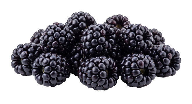 Group of fresh ripe blackberries transparent background