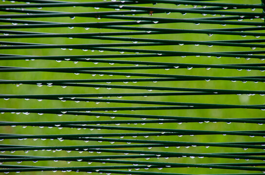 Abstract background texture of vintage deck chair elastic straps with fresh raindrops.
