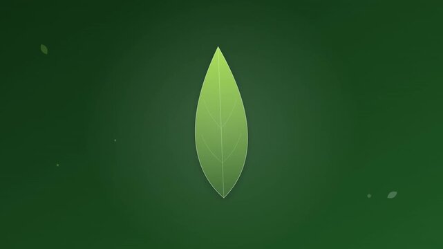 organic green leaf eco nature animation green screen