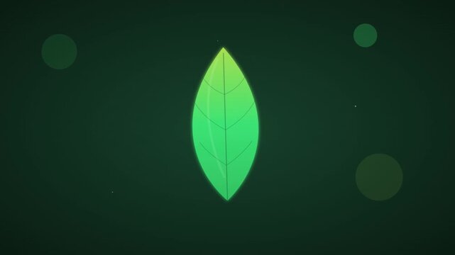 organic green leaf nature eco friendly icon animation