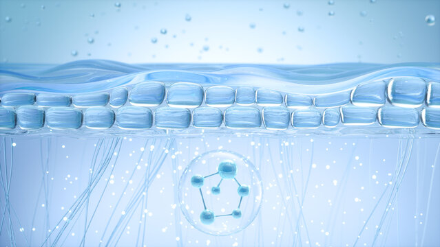 cosmetic serum molecules penetrating deep under skin layers to repair and revitalize cell structure. Concept for advanced skincare, deep hydration, and healthy skin barrier. 3d rendering.