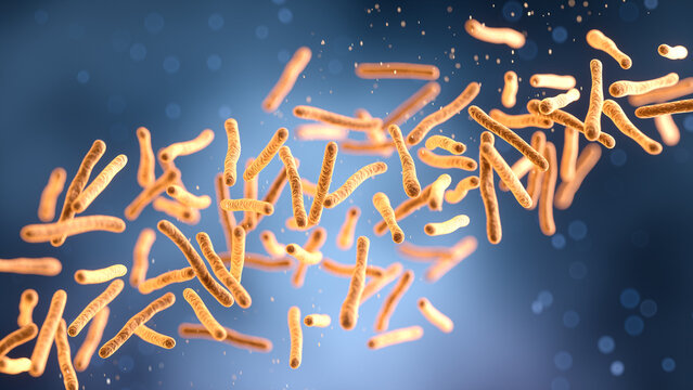 3D rendering of Mycobacterium tuberculosis, bacteria healthcare and research concept.