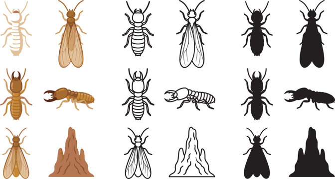 Termite Bug Insect Vector Icon Set with Worker Soldier Alate and Mound Elements for Pest Control Service Graphic Designs
