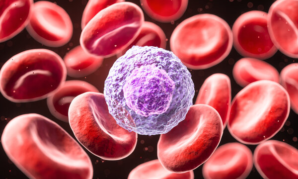 Lymphocyte, White blood cells and the immune system are responsible for protecting the body against pathogens and bacteria 3D illustration.