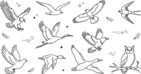 Fototapeta premium Vector set of flying wild birds including eagle hawk crane swallow owl pigeon duck and seagull in line art