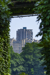 Residential towers framed by lush greenery in an urban summer landscape © BuiThi