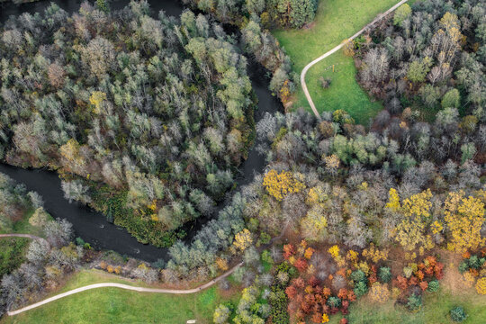 Forest River Flowing Beside a Green Trail in Autumn