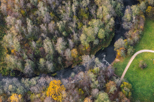 Winding River and Trail Through an Autumn Forest