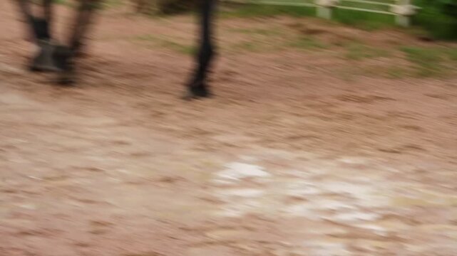 Barro, agua en charco, suelo embarrado, pisadas, pies y casco de caballo en arena encharcado mojada puddle 
