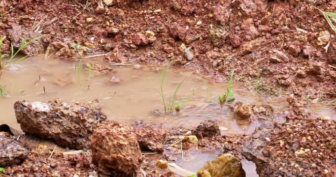 Rainwater gathers on rocky terrain showcasing small grass patches amidst natural landscape.