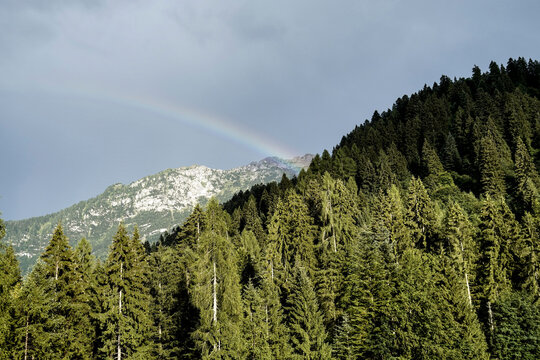 Panorama delle Dolomiti Bellunesi,Dolomiti, Belluno, Veneto,Italia