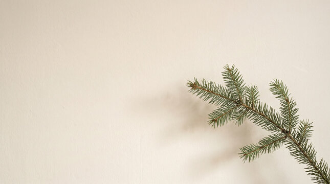 Minimal ceramic vase with a sculptural pine branch and burgundy ornament in a softly lit contemporary holiday interior