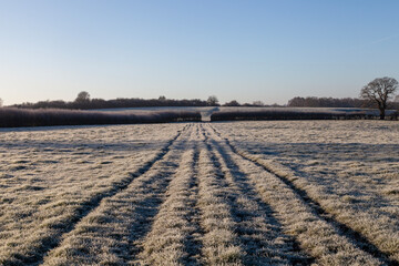 Obraz premium Tracks across a frozen field in Dorset, England on a cold and sunny winter morning