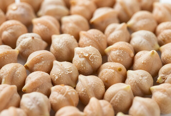 Fototapeta premium Healthy nutrition and plant based protein, raw chickpeas with water droplets for vegan diet and sustainable food source in a high resolution macro shot